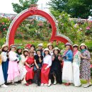 장미커피숍 - 화성시 31만세로 1109-6 | 장미커피숍