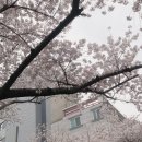 해피샌데이