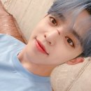 쿱스 이미지