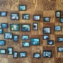 솔밭 1994 이미지