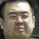 김정남 노컷뉴스