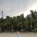 별 이비인후과의원 | 종로코코이비인후과 위고비 처방 후기 -10KG 감량 성공