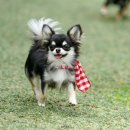 W&W(와앤와) 이미지