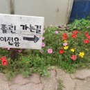 자연아놀자박물관 네이버블로그