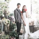 포레스트 스튜디오 이미지