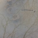 일장천약수터 이미지