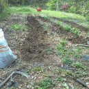 산소농장 이미지