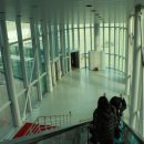 아이뜨리어린이집 | [2010년]15년만에 쓰는 일본 도쿄 여행 후기