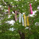 용연사주차장 이미지