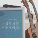 알로하~우쿨렐레 | 2024 알로하 뮤직 페스티벌 후기, 시흥 거북섬에서 즐긴 하와이 문화 축제