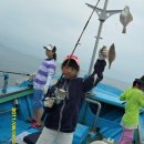 성복호 이미지