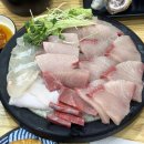 태양수산활어회 | 전농동제철회 맛집 태양수산 다녀온 후기~