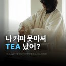 다도레티룸 | 연희동 놀거리 예약제 찻집, 다도레티룸