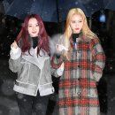 수아