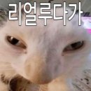 핑크블루 - 철원군 금학로210번길 12-3 | 달바 톤업선크림 퍼플 vs 핑크 vs 블루 내돈내산 비교 후기 ft수부지