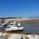 장고항1리 이미지