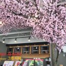 그린조경학원