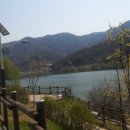민속인삼