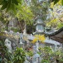 코코넛 모텔 | 다낭여행 오행산 &amp; 미선 유적지 일일 투어 내돈대산 완전만족 후기