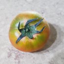 토마토약국 이미지