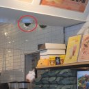 화원파출소 이미지