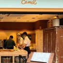 카멜무역 | 카멜커피 현대백화점 무역센터점 후기