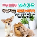 대경약국 이미지