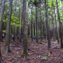 솔오름주차장 이미지