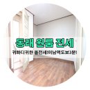 부동산11번가공인중개사사무소
