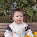 공주산림휴양마을 유아숲체험원 이미지