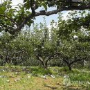 송덕농장 이미지