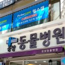 베스트동물병원 이미지