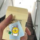대지사진관 - 제주시 중앙로 205 | 대지사진관