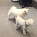 어나더베이비동탄라크몽점