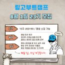 이게 무슨 앱인가요? 이건 뭐 1:1 학원 아닌가요? 후기 많이 첨부 이미지