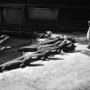 감당농장 이미지