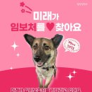 미래/3살/여아 이미지