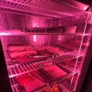 구이쟁이 이미지