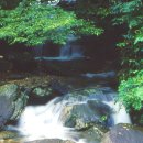 용소산장민박 이미지