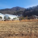 오케이농원
