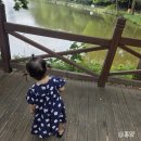 늘솔길공원화장실 이미지