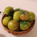 토마토2 이미지