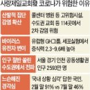 제일교회 뒤 이미지