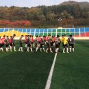 바모스 이미지