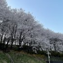 크로스핏 토르 이미지