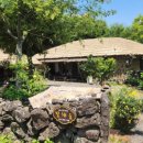 에코힐링민박 이미지