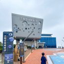 승원자판기고래생태체험관 | [울산 아이와 가볼만한 곳] 장생포고래문화특구 "고래생태체험관" 살아있는 돌고래를 만나요