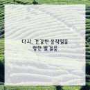 영통단단마디의원 이미지