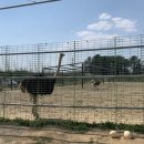 홍연농장 이미지