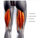 투게더 피트니스 이미지